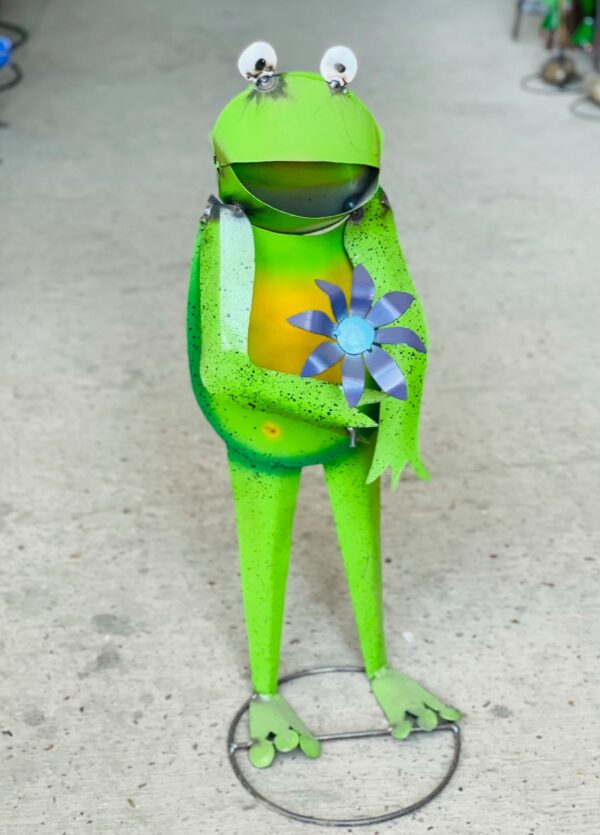 Frog with Lily