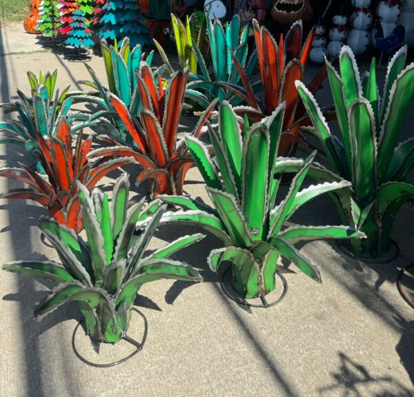 3 Piece Agave Cactus