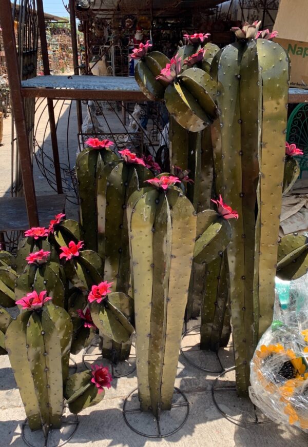 3 Piece Pickle Cactus