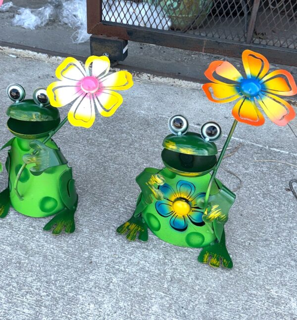 Frog holding flower