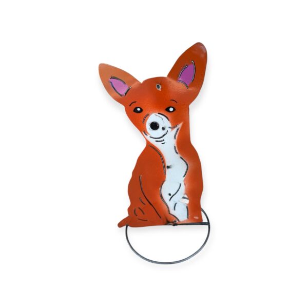 Sitting Chihuahua Dog