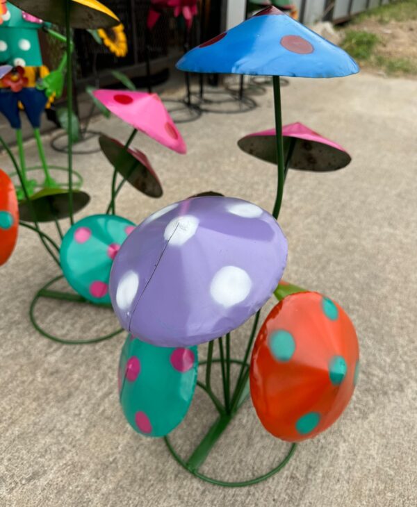 7 Ring Mushrooms - Image 2