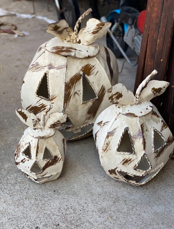White spade wired face pumpkins (Set of 3)