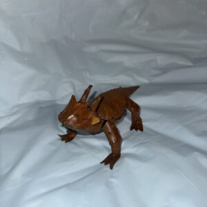 Item: 00100371B - Horned lizard