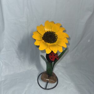Item: 00100398B - Sunflower on rock
