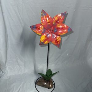 Item: 00100401B - Star Flower on rock